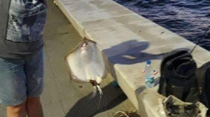 İğneli Vatoz Soktu, &Ouml;l&uuml;mden D&ouml;nd&uuml;