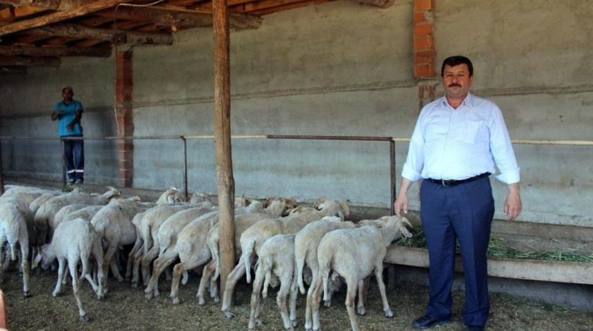 Kurban Bayramı &Ouml;ncesi Hırsızlar İş Başında