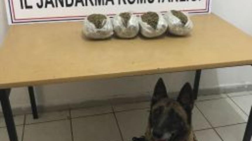 Marmaris&rsquo;te 2,5 Kilogram Esrar Ele Ge&ccedil;irildi