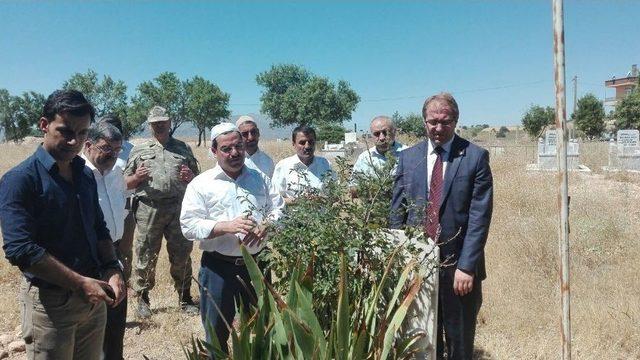 Kovancılar’da İlçe Protokolü, Şehit Ailelerini Ziyaret Etti