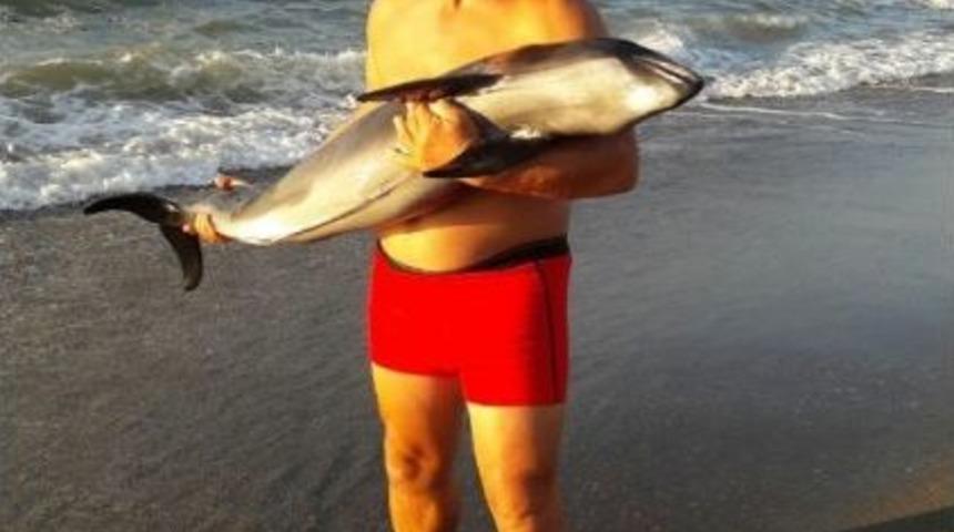 Kıyıya Vuran Yunus Balığı Tekrar Denize Salındı