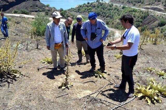 Başkan Kayda, Jeopark Denetçilerini Ağırladı