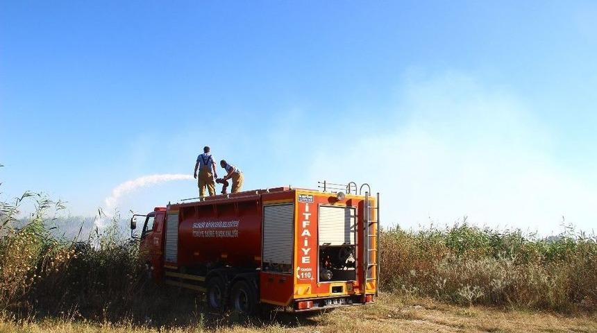 Sazlık Yangını Korkuttu