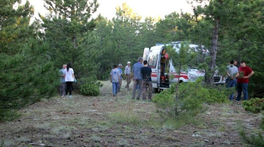 Kozalak Toplamaya Giden Anne Ormanda Ölü Olarak Bulundu