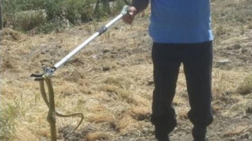 Kümesteki Davetsiz Misafir İtfaiyeyi Alarma Geçirdi