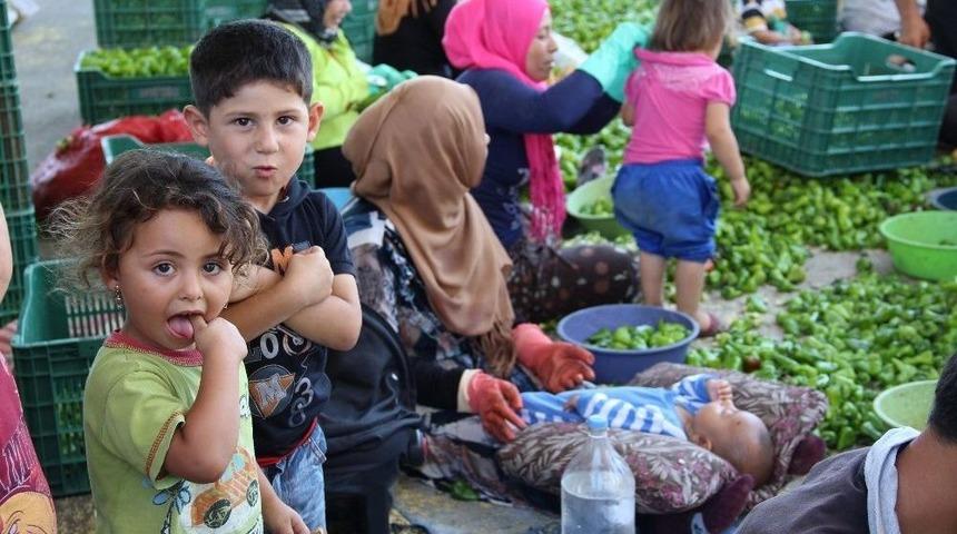 Suriyeli Annenin &lsquo;sakarya&rsquo; Sendromu