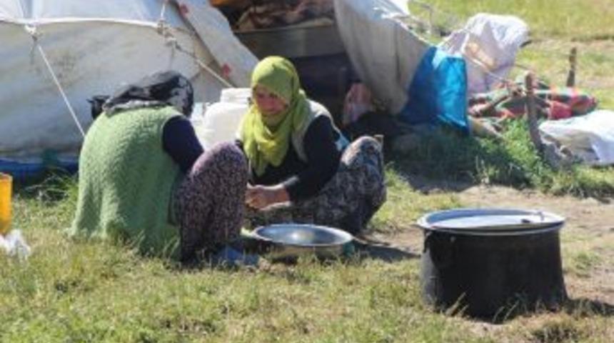700 Koyun Sağan Kadınlar Sadece Uyurken &Ccedil;alışmıyor