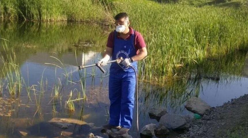 Hakkari’de Sivrisinek Ve Haşerelerle Mücadele