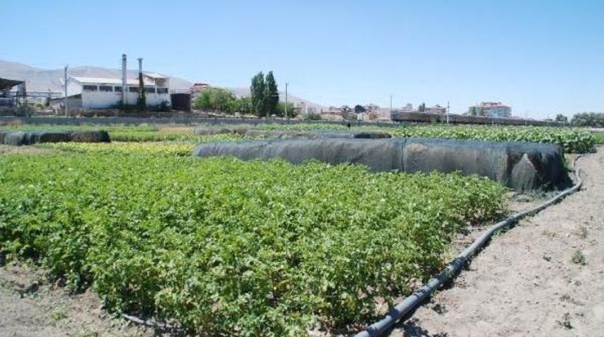 Niğde'de, 'ekim N&ouml;beti' Sistemi Geliştiriliyor