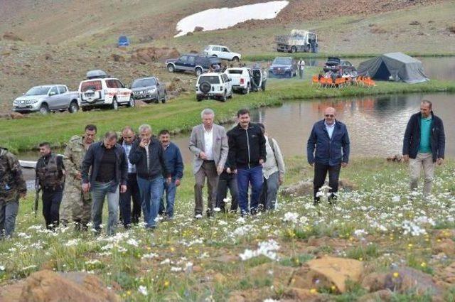 Temmuz Ayında Kar Topu Oynadılar