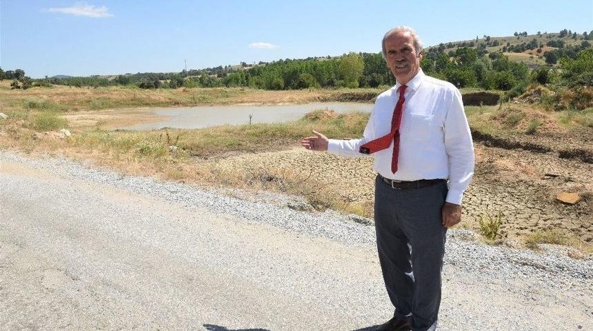 Hayvancılığa Değer Katacak Tesis