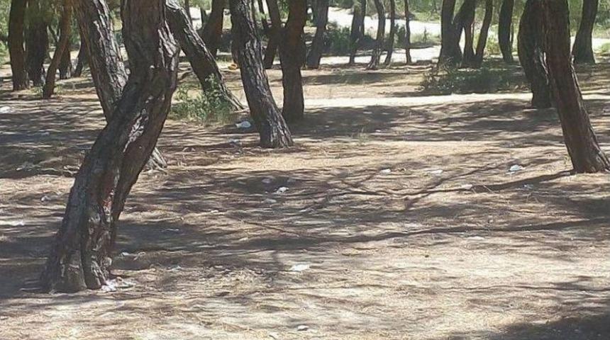 Kınık Mesire Alanına Bakanlıktan Onay