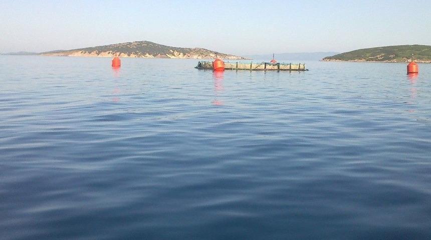 Ayvalık&rsquo;ta Balık &Ccedil;iftliklerine İzin Yok