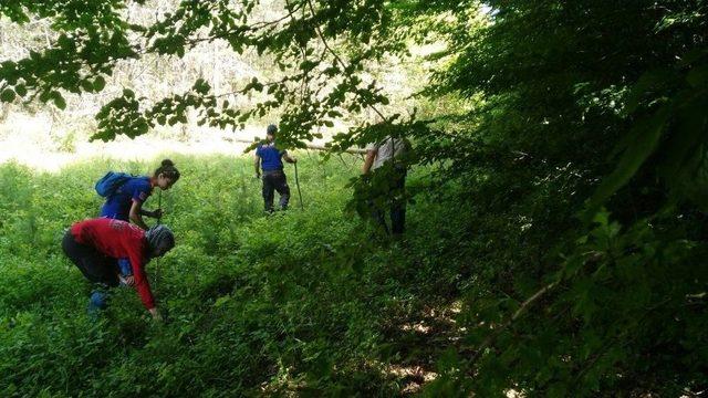 Kayıp Alzheimer Hastası Yaşlı Kadını Arama Çalışmaları Sürüyor