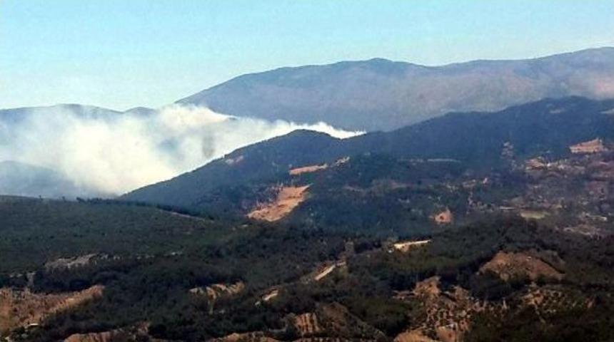 Hatay'da Orman Yangını &Ccedil;ıktı