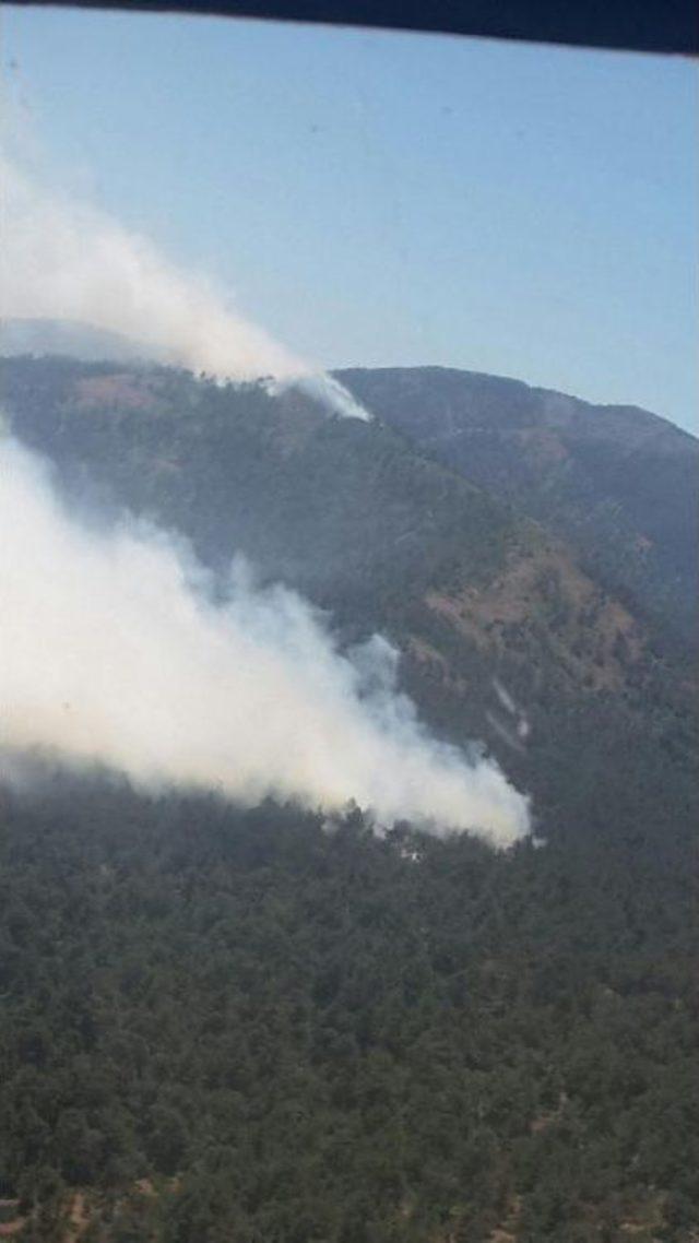 Hatay'da Orman Yangını Çıktı