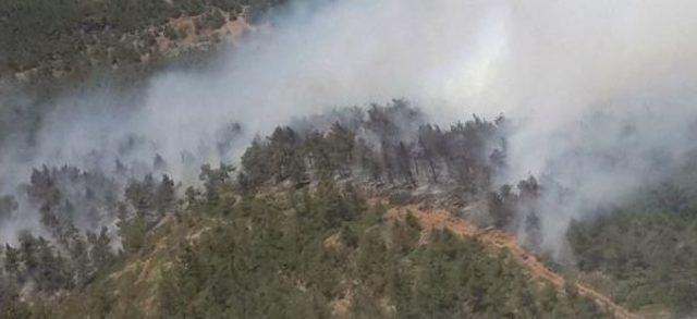 Hatay'da Orman Yangını Çıktı