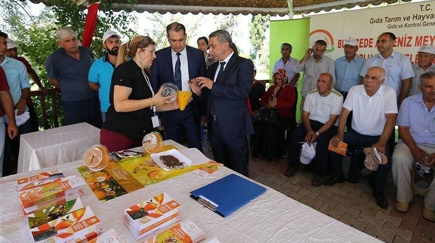 &Uuml;reticilere Akdeniz Meyve Sineğine Karşı Tuzak Dağıtıldı