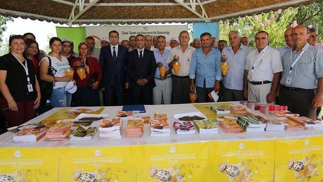 &Uuml;reticilere Akdeniz Meyve Sineğine Karşı Tuzak Dağıtıldı 2