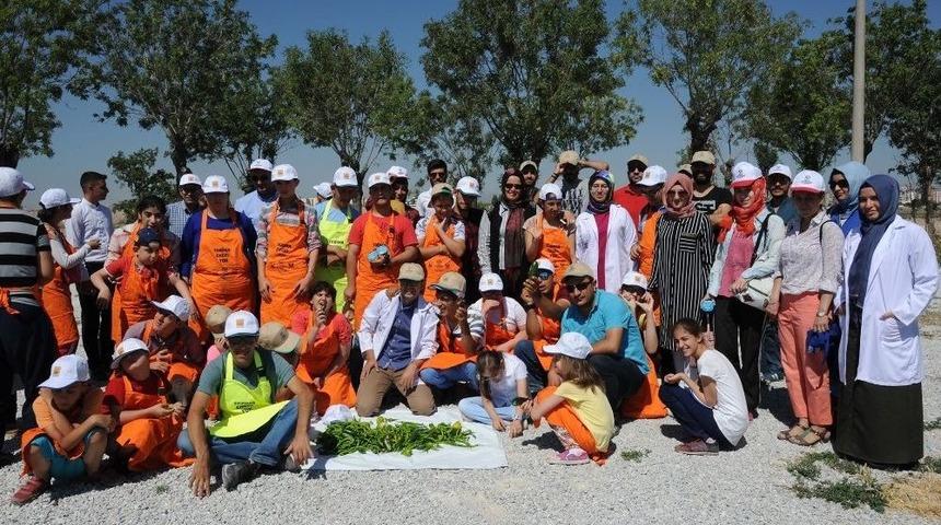 &Ouml;zel &Ouml;ğrenciler Hasat Mutluluğu Yaşadı