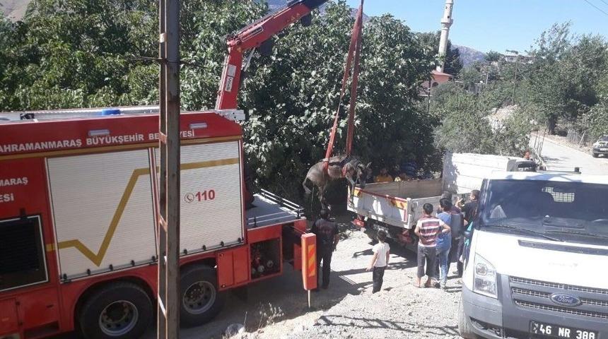&Ouml;lmek &Uuml;zere Olan Atın İmdadına İtfaiye Yetişti