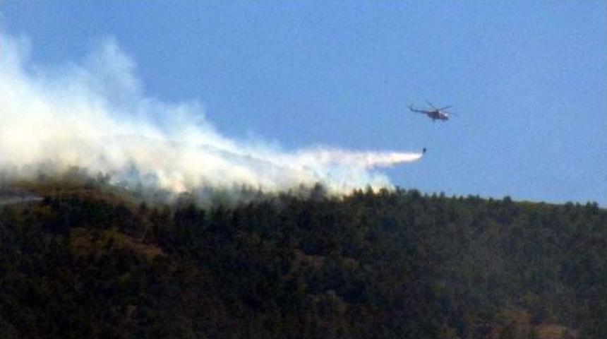 Hatay'da Orman Yangını &Ccedil;ıktı (2)