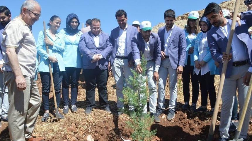 Mardin&rsquo;de 15 Temmuz Şehitleri İ&ccedil;in Fidan Dikildi
