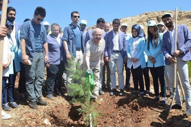 Mardin’de 15 Temmuz Şehitleri İçin Fidan Dikildi