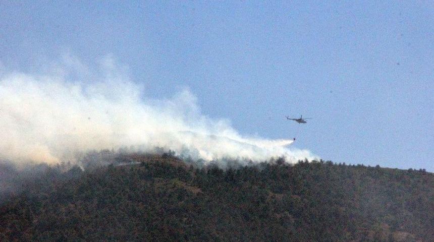 Hatay&rsquo;daki Orman Yangını Kontrol Altına Alındı