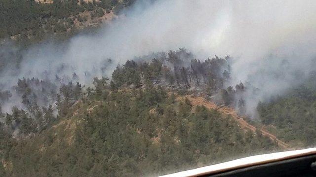 Hatay’daki Orman Yangını Kontrol Altına Alındı