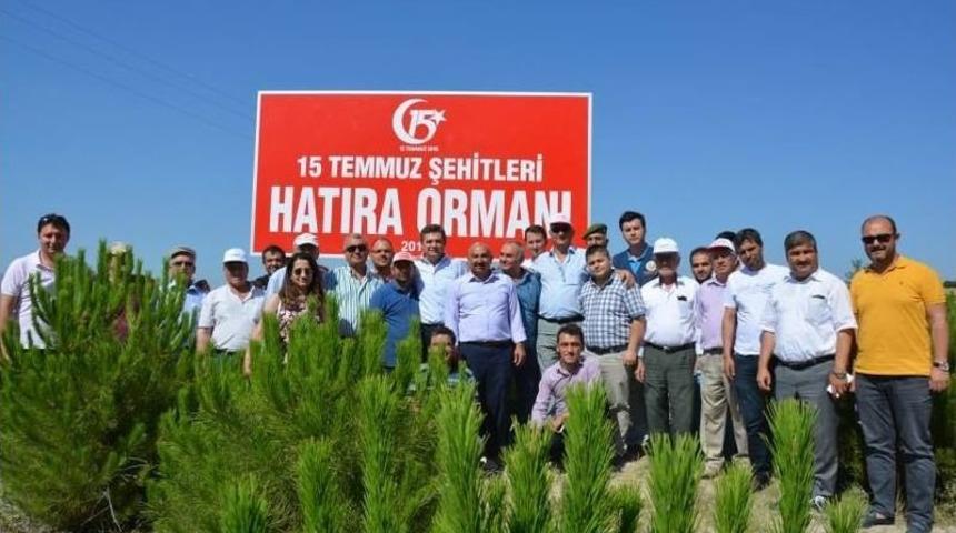 Selendi Ve Soma’da 15 Temmuz Hatıra Ormanı