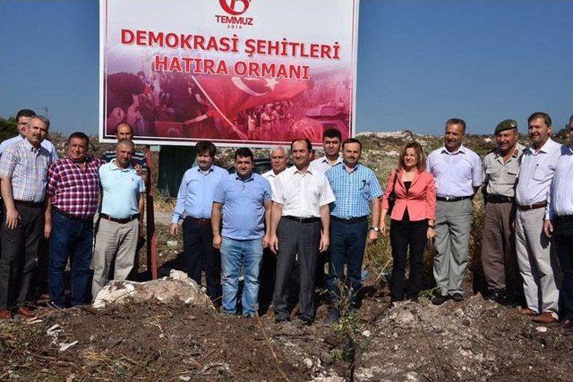 Selendi Ve Soma’da 15 Temmuz Hatıra Ormanı