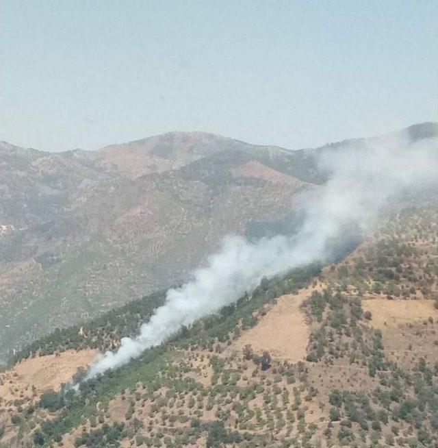 Nazilli’de 1 Hektar Tarım Arazisi Zarar Gördü