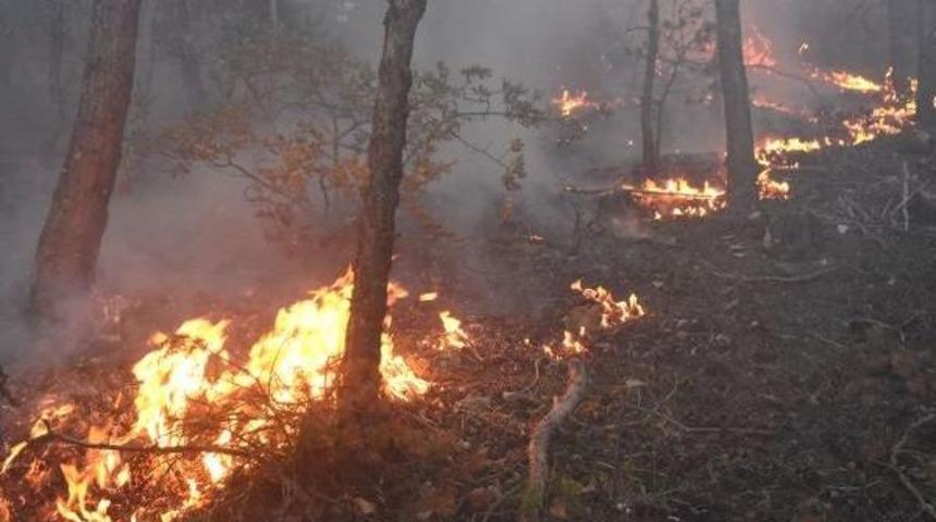 Sivas'ta 3 Hektar Ormanlık Alan Yandı