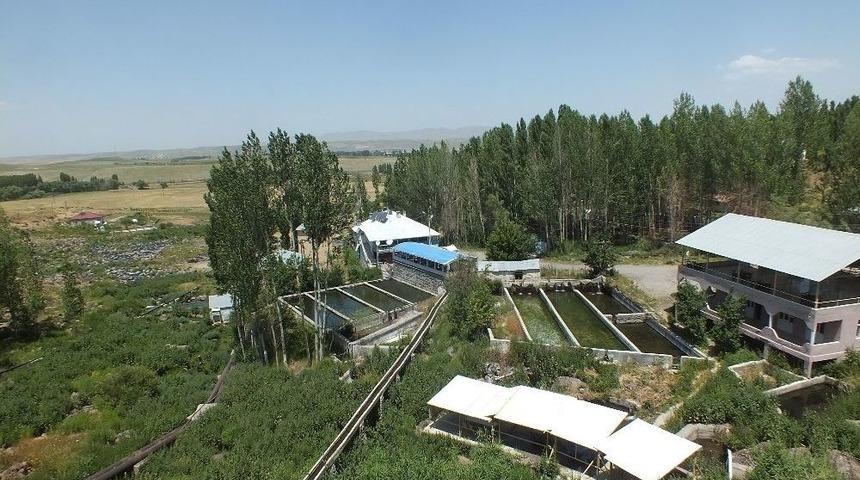 Malazgirt&rsquo;teki Alabalık Tesisleri B&uuml;y&uuml;k İlgi G&ouml;r&uuml;yor