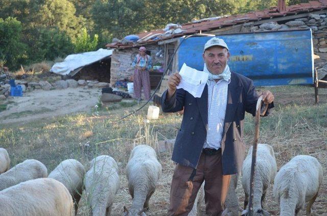 Manisalı Çobana Geçmediği Köprüden Ceza