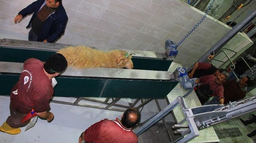 B&uuml;y&uuml;kşehir Belediyesi İl&ccedil;elere Modern Mezbahalar Yapıyor