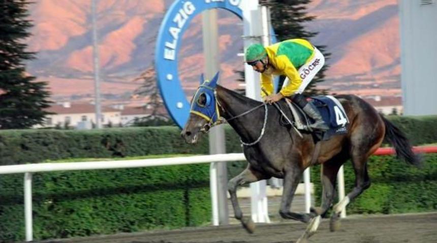 Elazığ Hipodromu'nda Gece Yarışları Başladı