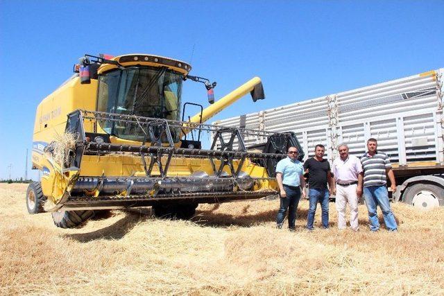 Arpa Hasadı Çiftçinin Yüzünü Güldürüyor