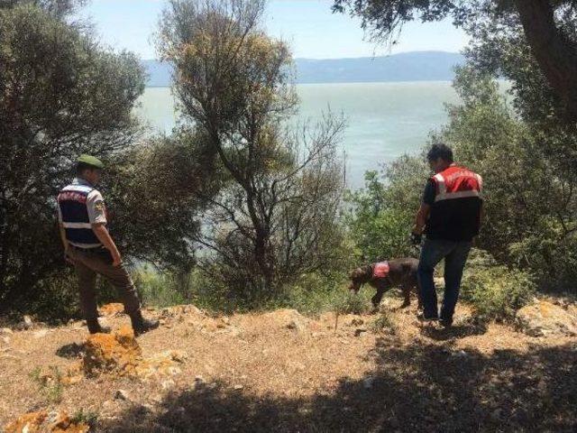 Uluabat Gölü Ve Çevresinde Drone Ile Uyuşturucu Denetimi