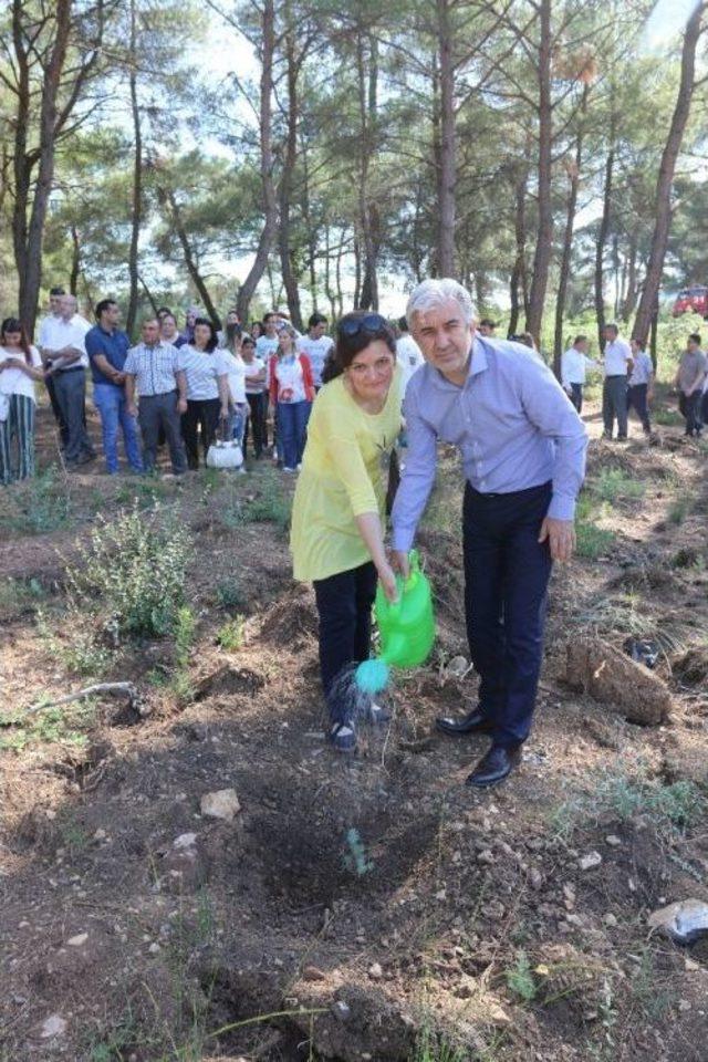 Akhisar’da 15 Temmuz Şehitleri Hatıra Ormanına Bakım