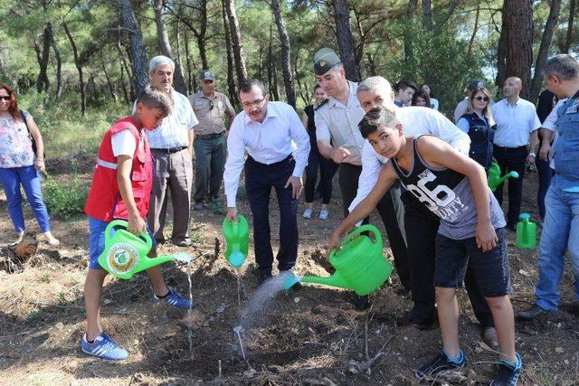 Akhisar’da 15 Temmuz Şehitleri Hatıra Ormanına Bakım