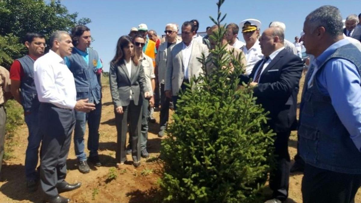 Yalova&rsquo;da 249 Şehit İ&ccedil;in 249 Fidan