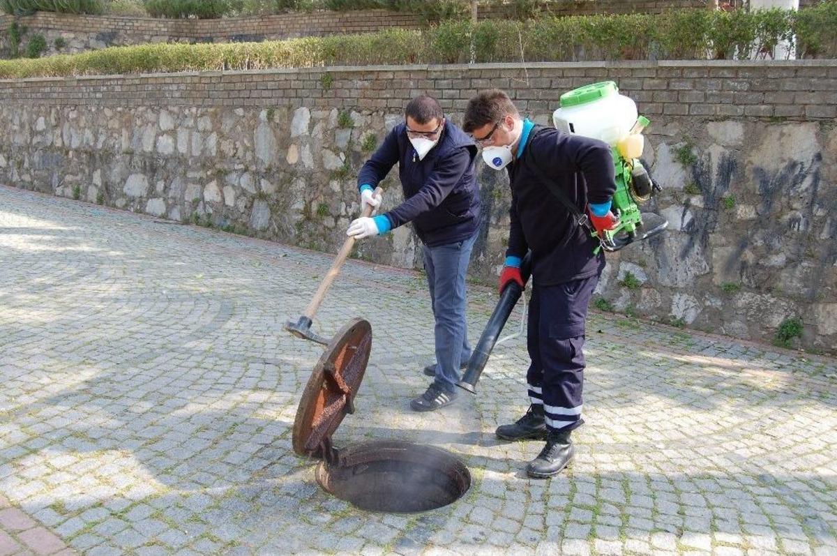 Efeler Belediyesi Haşerelere Savaş A&ccedil;tı