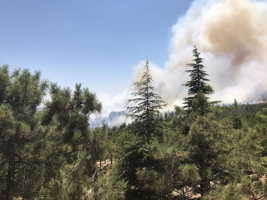 Konya&rsquo;da Ormanlık Alanda Yangın