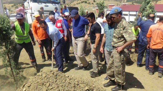 Kulp’ta, 15 Temmuz Şehitleri Hatıra Ormanı Oluşturuldu