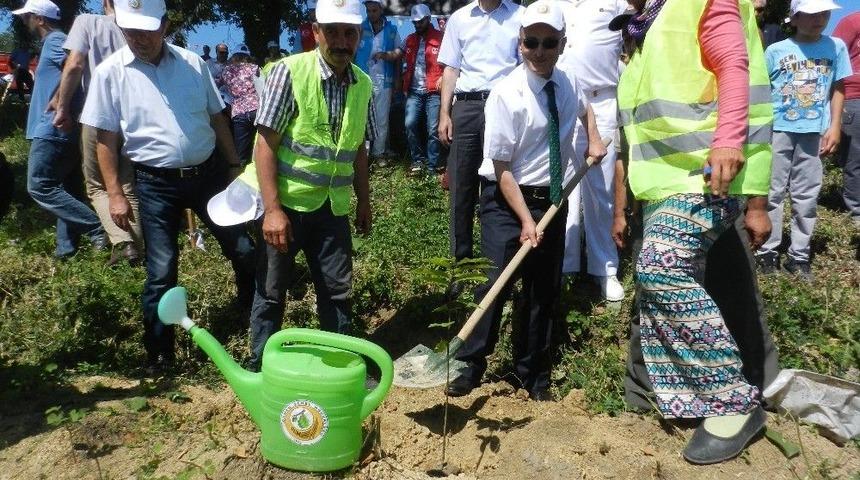 15 Temmuz Şehitleri Anısına 249 Fidan Toprakla Buluştu