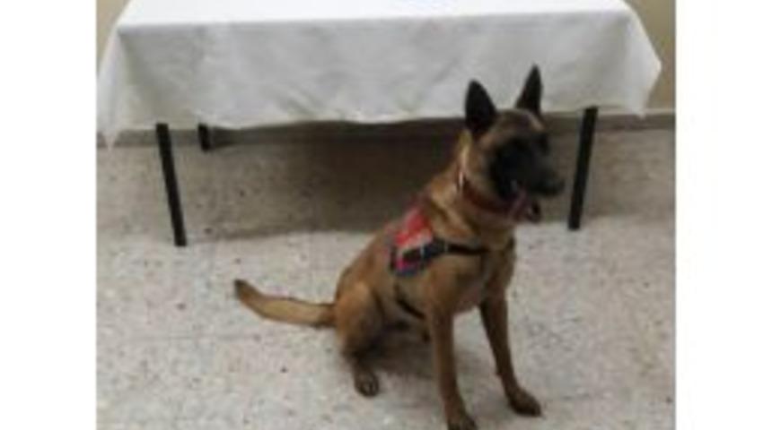 El Bagajı Rafında Esrar Ele Ge&ccedil;irildi