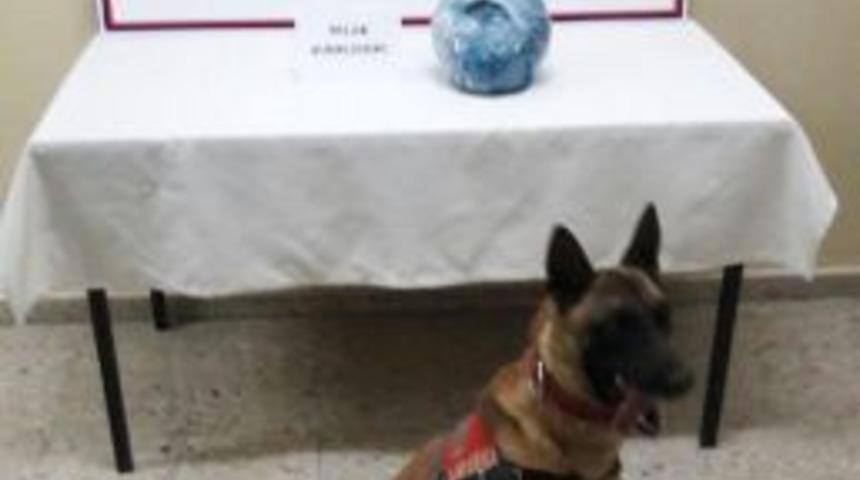 Yolcu Otobüsünde 984 Gram Esrar Ele Geçirildi