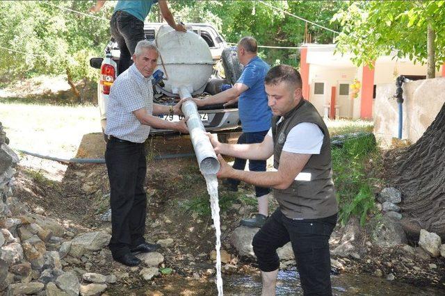 Nergele Çayı’na 7 Bin Kırmızı Benekli Alabalık Yavrusu Bırakıldı